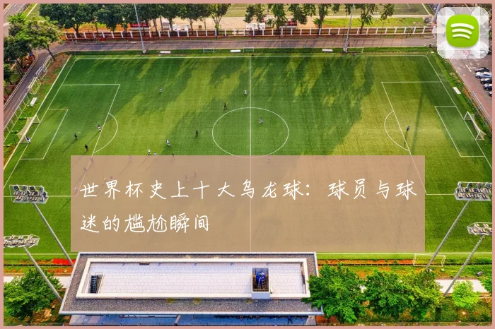 世界杯史上十大乌龙球：球员与球迷的尴尬瞬间