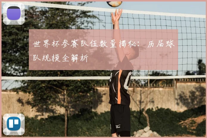 世界杯参赛队伍数量揭秘：历届球队规模全解析