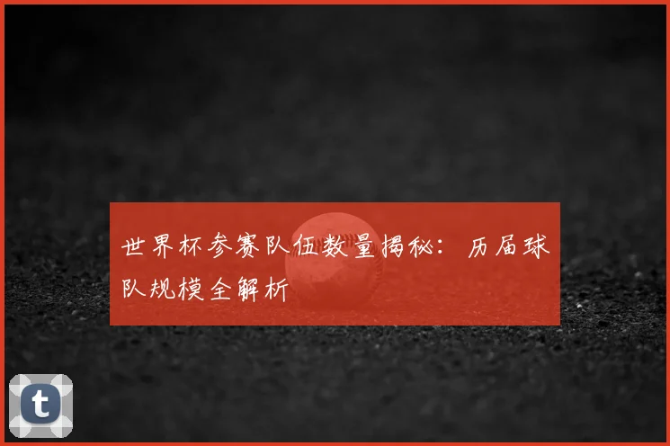 世界杯参赛队伍数量揭秘：历届球队规模全解析