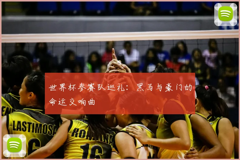 世界杯参赛队巡礼：黑马与豪门的命运交响曲