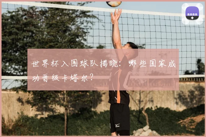 世界杯入围球队揭晓：哪些国家成功晋级卡塔尔？