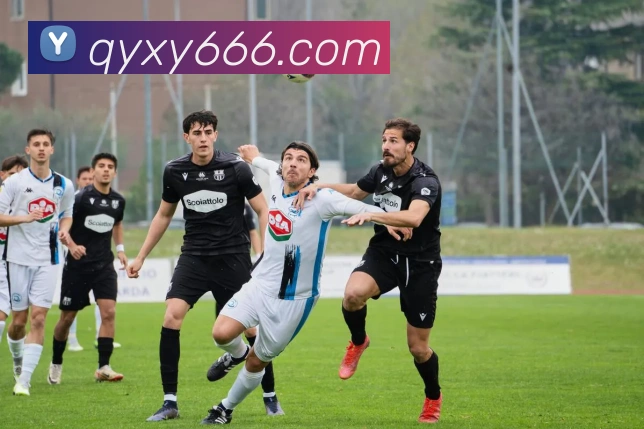 九州酷游ku官网发展历程